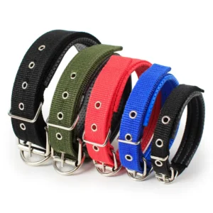 Multiple Size Dog Collar Metal Buckle Collar Gift for Small Medium Large Boys Girls Dogs