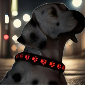 Hot Selling Factory Direct LED Flashing Dog Collar Glowing Mascota Collar Leash for Safe Walking Sustainable Pet Accessory