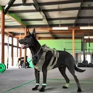 Hot Selling Small/Large Outdoor Tactical Dog Harness Adjustable Nylon Vest with Striped Pattern Wear-Resistant Heavy Duty Dogs