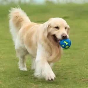 Durable Elastic Dog Molar Ball Light-Colored Pet Interactive & Movement Toys Sustainable Glowing Dog Toy for Movement