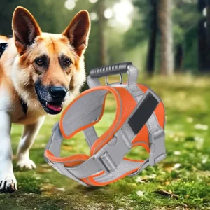 Adjustable Polyester Pet Harness Popular Dogs Training Rope Leash Reflective Strips Solid Sustainable Pet Collars Accessories