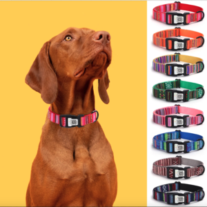 Adjustable Dog Collar with Smart ID Tag