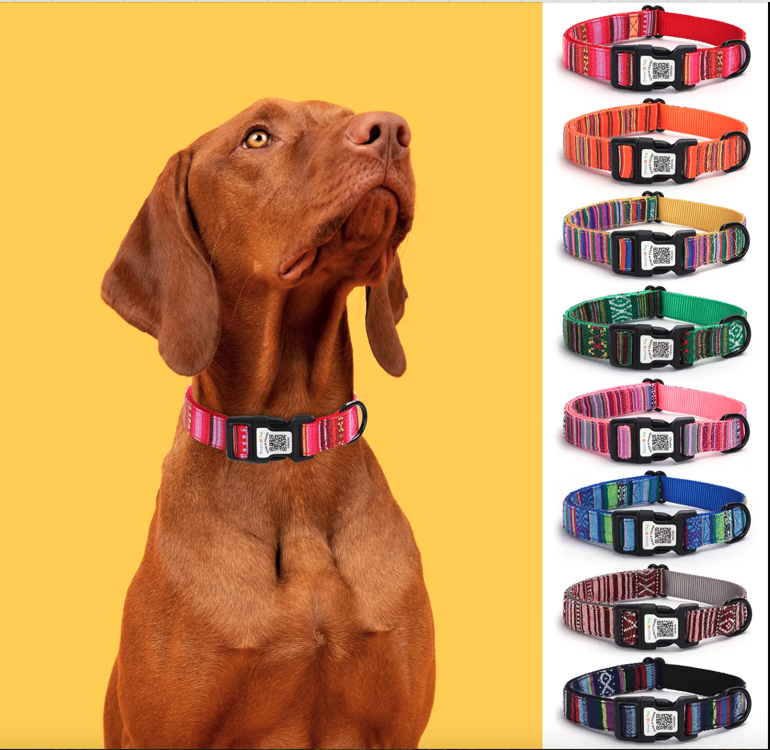 Adjustable Dog Collar with Smart ID Tag
